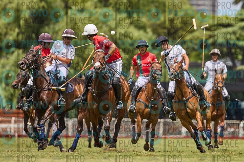 0442-R6-_MG_0745