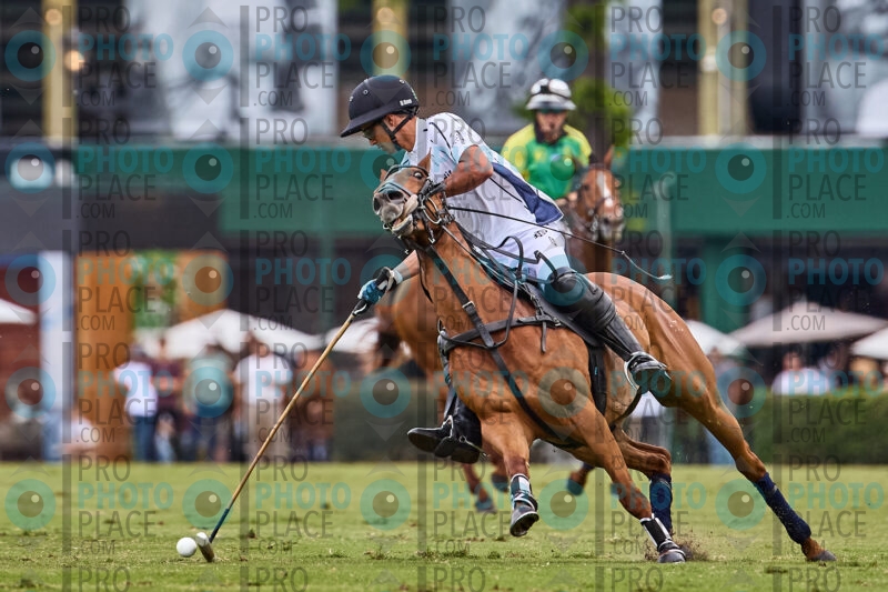0485-R6-_MG_0806