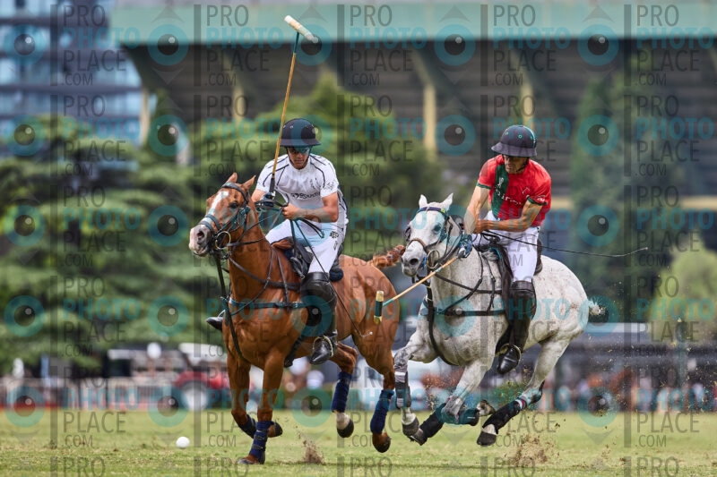 0784-R6-_MG_1162