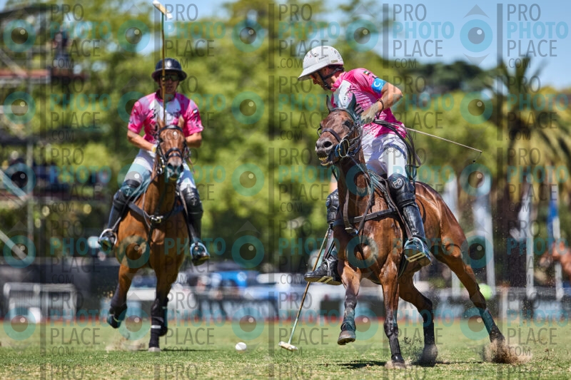 0248-R6-_MG_4451