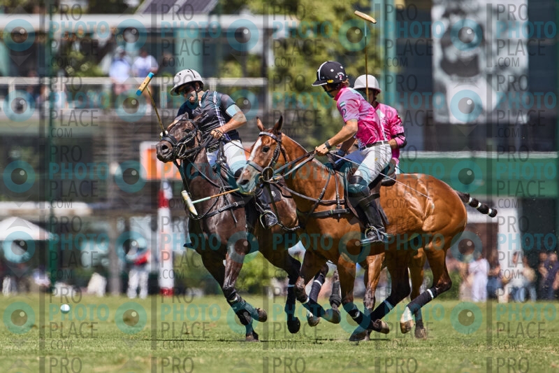 0363-R6-_MG_4633