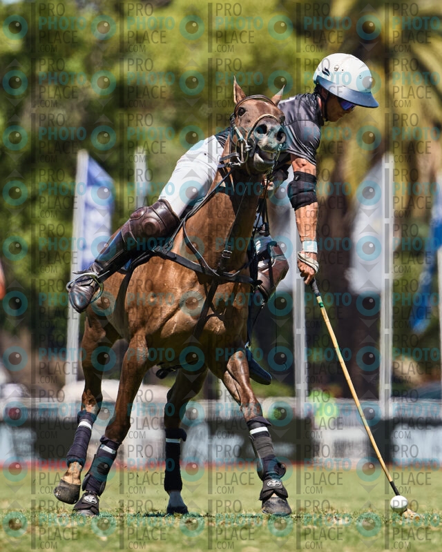 0491-R6-_MG_4788