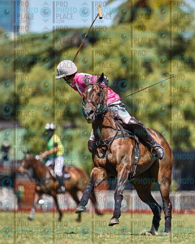 0557-R6-_MG_4870