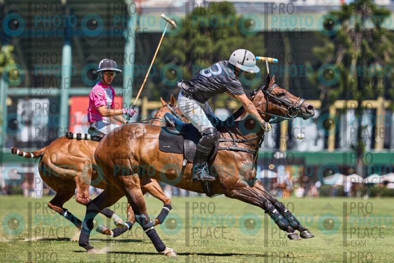 0631-R6-_MG_4975