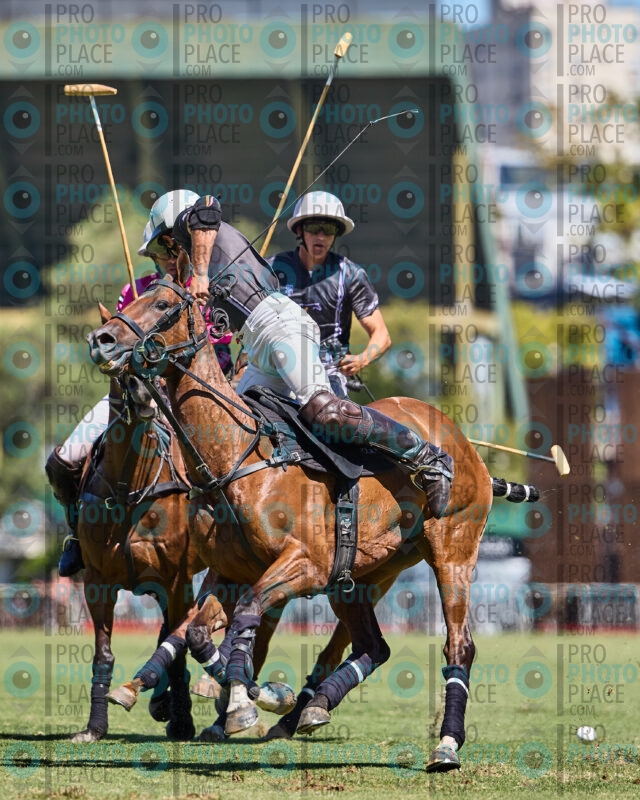 0644-R6-_MG_4990
