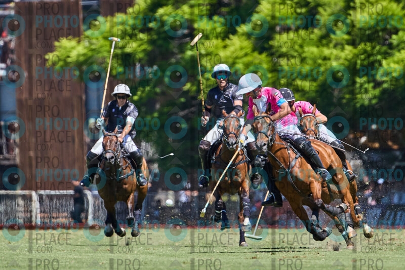 0684-R6-_MG_5034
