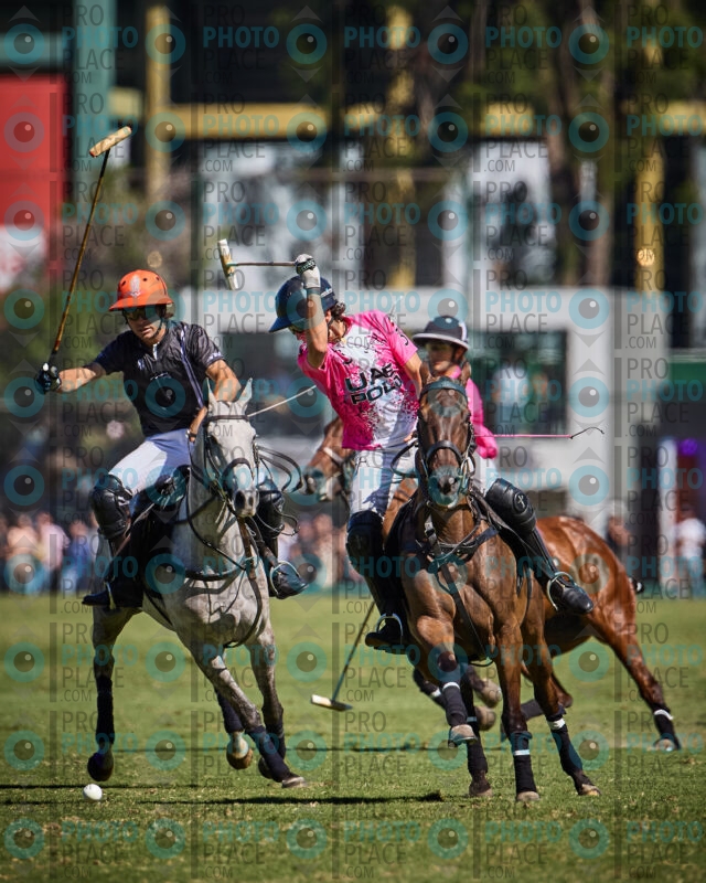 1259-R6-_MG_5724