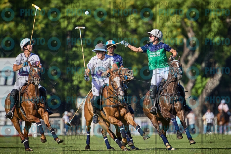 1227-R6-_MG_7241