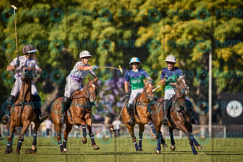 1228-R6-_MG_7252