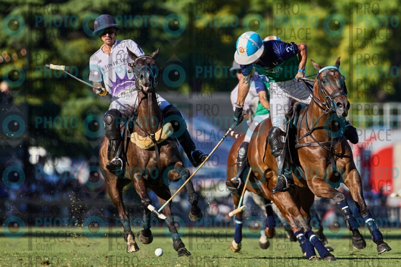 1729-R6-_MG_7777