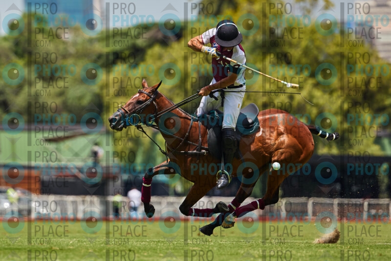 0103-R6-_MG_08591