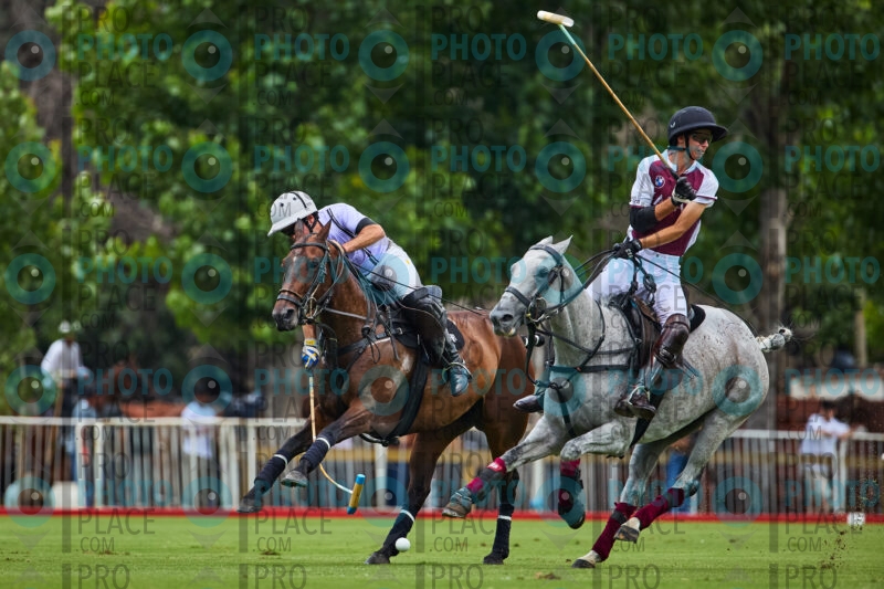 0241-R6-_MG_08733