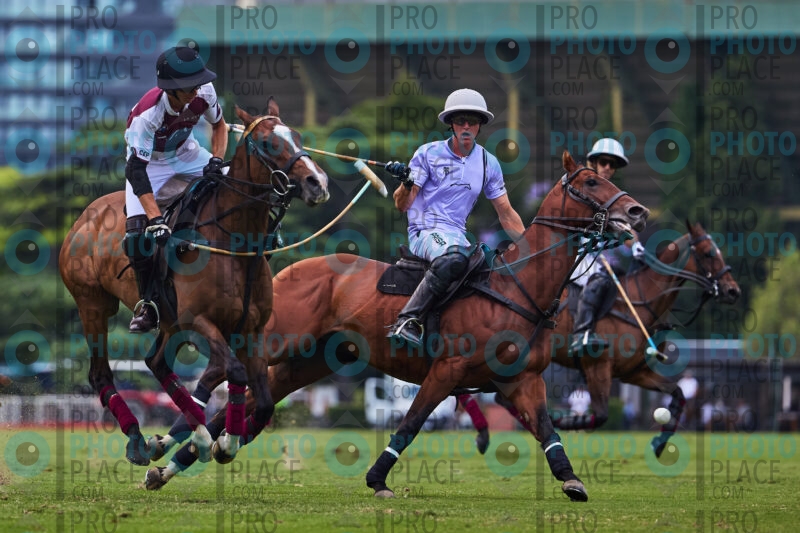 0393-R6-_MG_08942