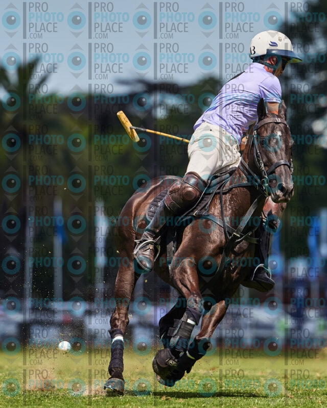0887-R6-_MG_09657
