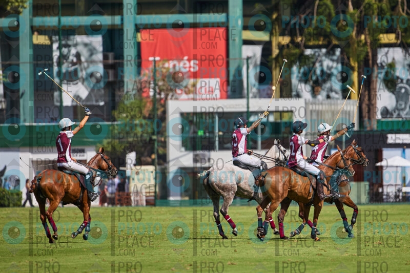1239-R6-_MG_10030