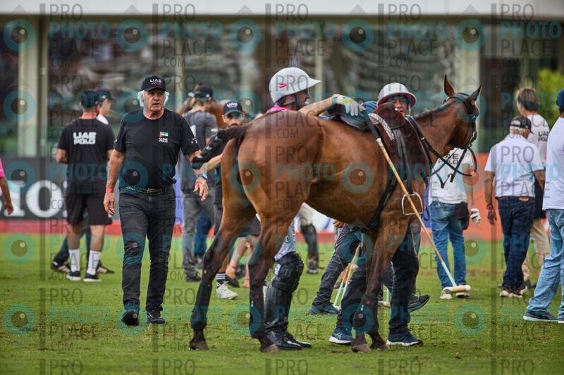 0387-R6-_MG_10339