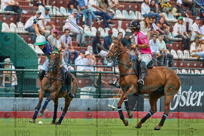 0548-R6-_MG_10525