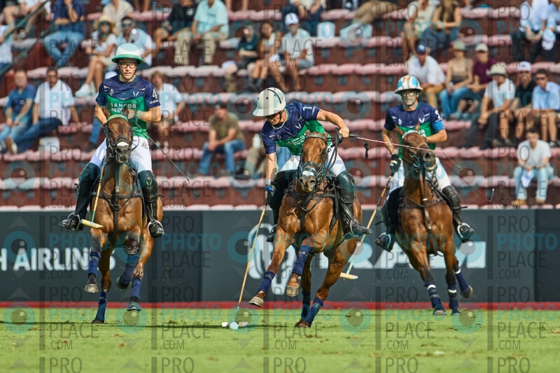 0972-R6-_MG_11003