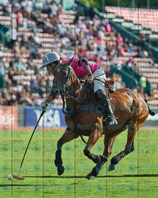 1126-R6-_MG_11180