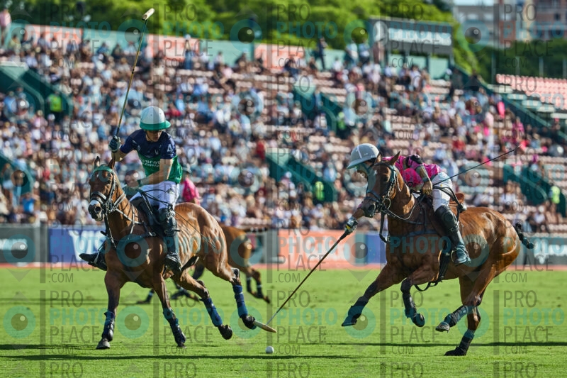 1127-R6-_MG_11181
