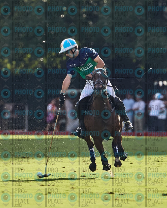 1191-R6-_MG_11272