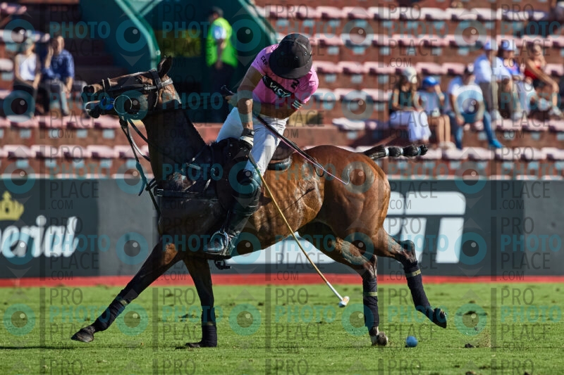 0166-R6-_MG_3068
