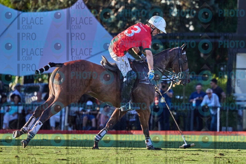 1181-R6-_MG_4161