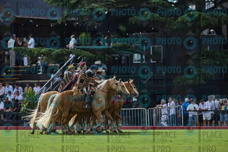 0543-R6-_MG_06078