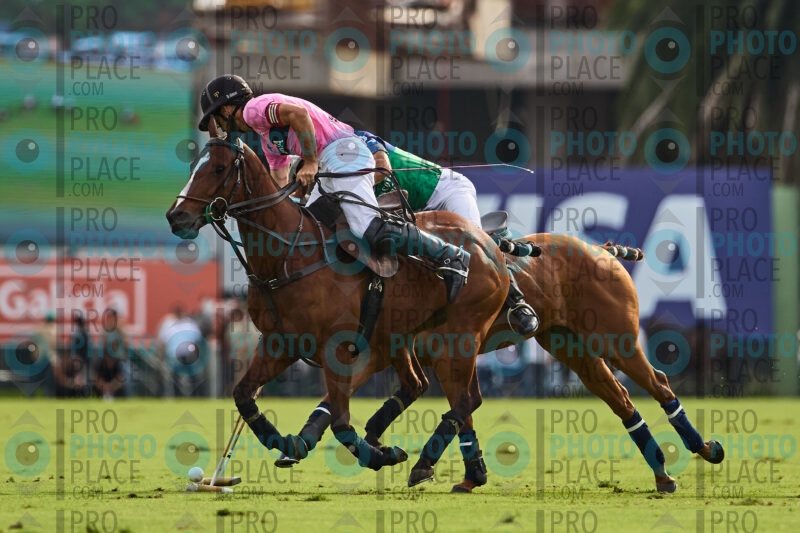 0880-R6-_MG_06417