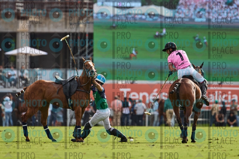 0969-R6-_MG_06506