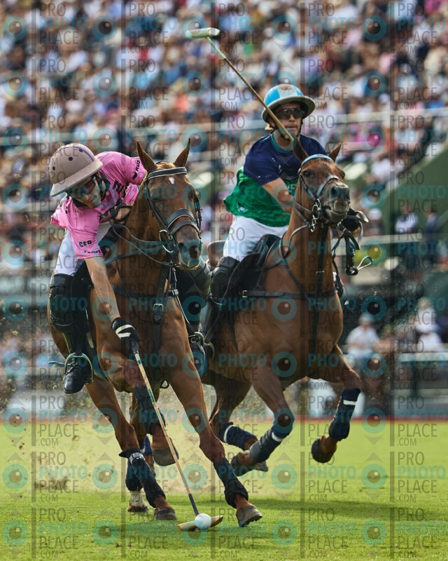 1136-R6-_MG_06781