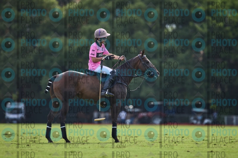 1484-R6-_MG_07204