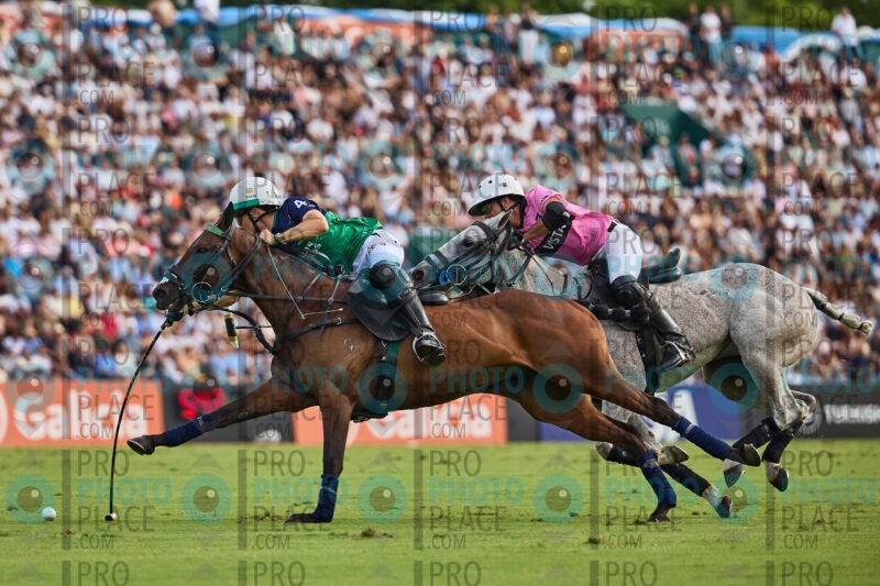 2138-R6-_MG_07916