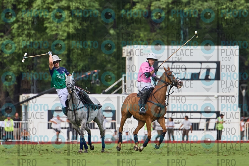 2967-R6-_MG_08897