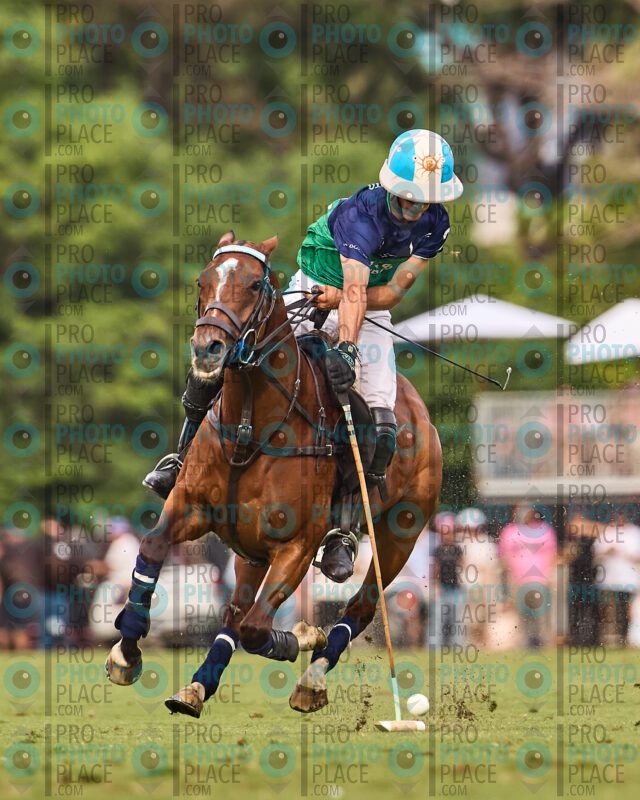 3338-R6-_MG_09334