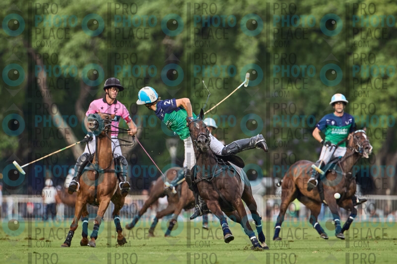 3578-R6-_MG_09627