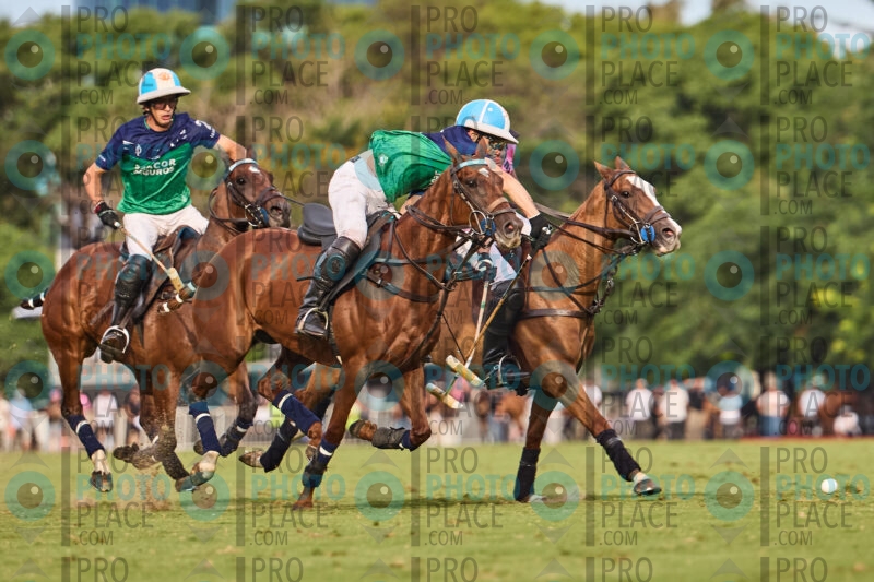 3692-R6-_MG_09775