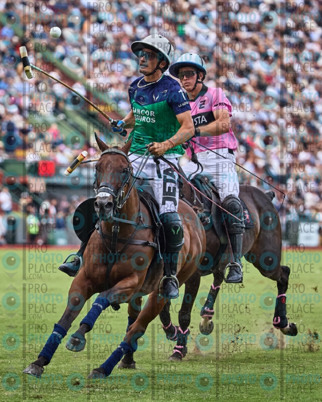 4036-R6-_MG_10182