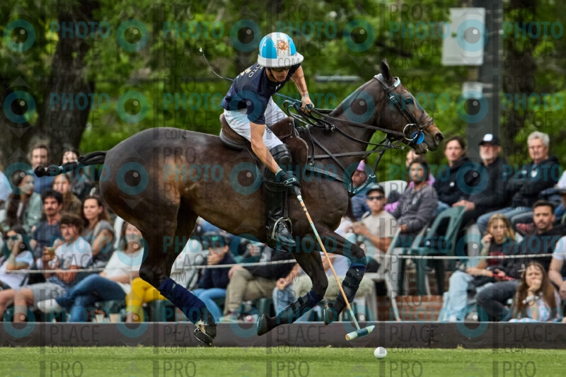 0678-R6-IMG_10599