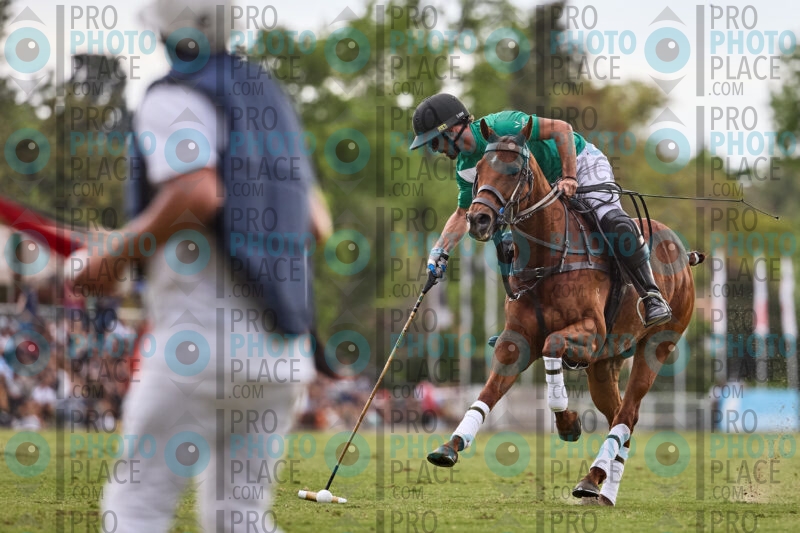 1012-R6-IMG_11003