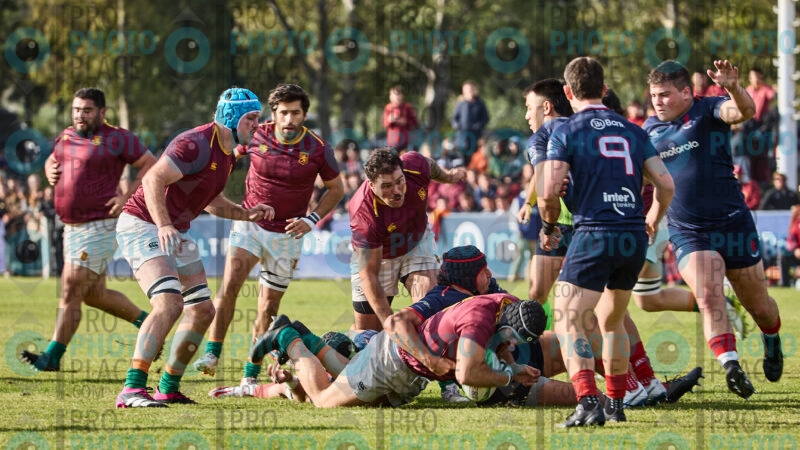 0183-R6-IMG_0848