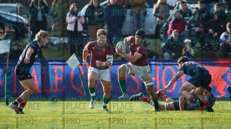 0388-R6-IMG_1126