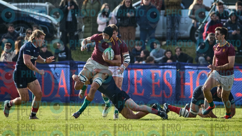 0393-R6-IMG_1131