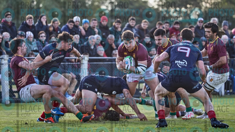 1184-R6-IMG_2175