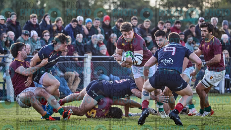 1185-R6-IMG_2176