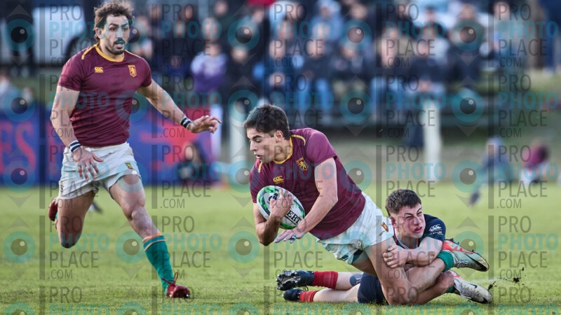 1469-R6-IMG_2536