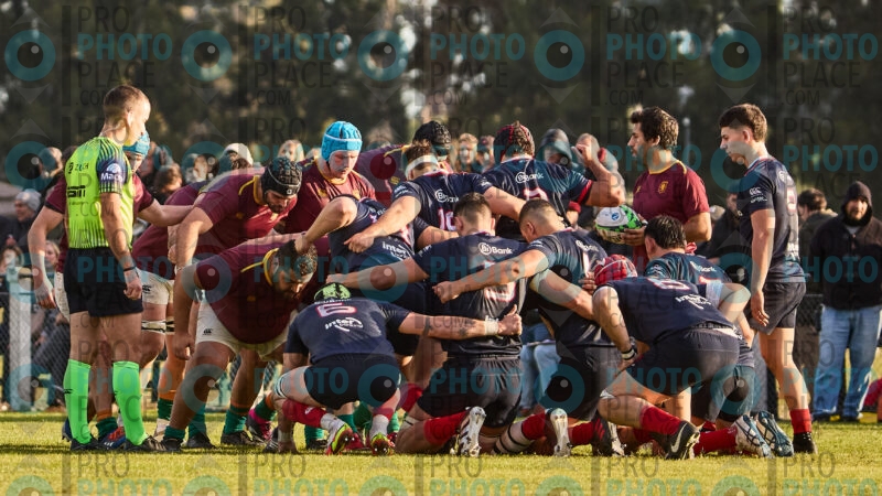 1786-R6-IMG_2853