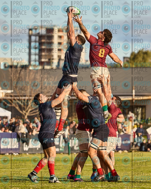 1828-R6-IMG_2916