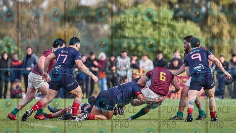 2041-R6-IMG_3226