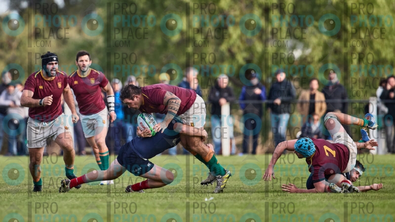 2046-R6-IMG_3231